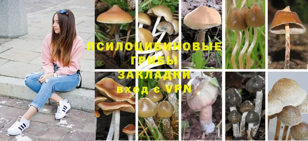 таблы Рославль